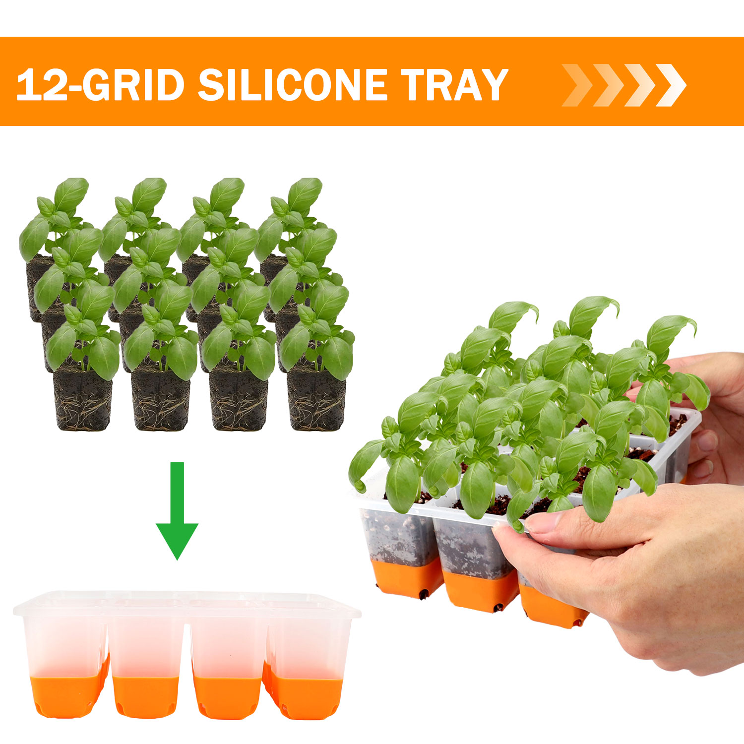 Seed Starter Trays - 5/10 오렌지 씨앗 스타터 트레이 박스
