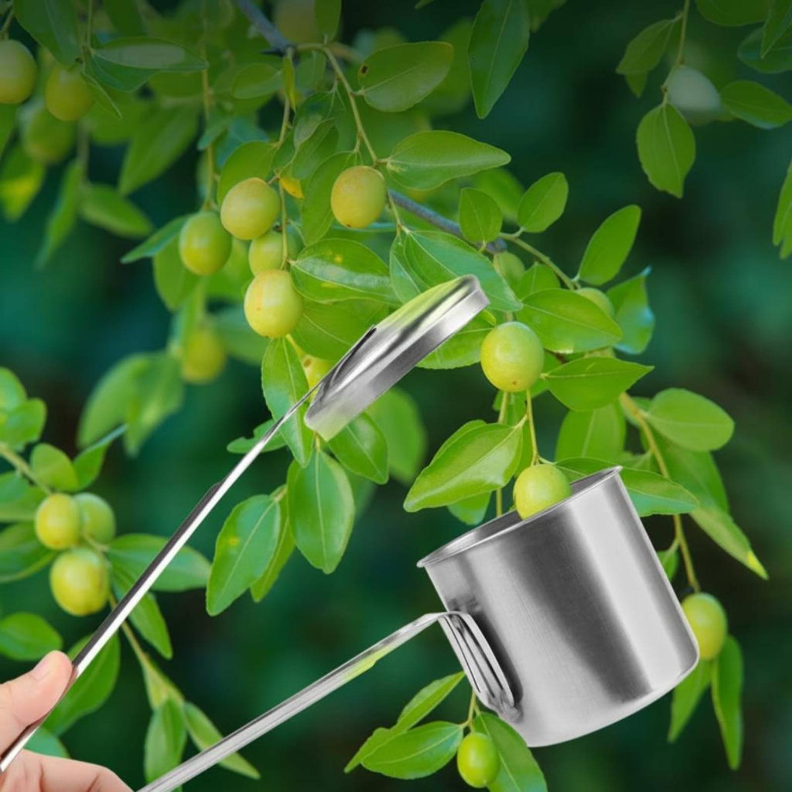 Gardening Tools Uses - 컵형 과일 따는 도구 스테인레스 스틸