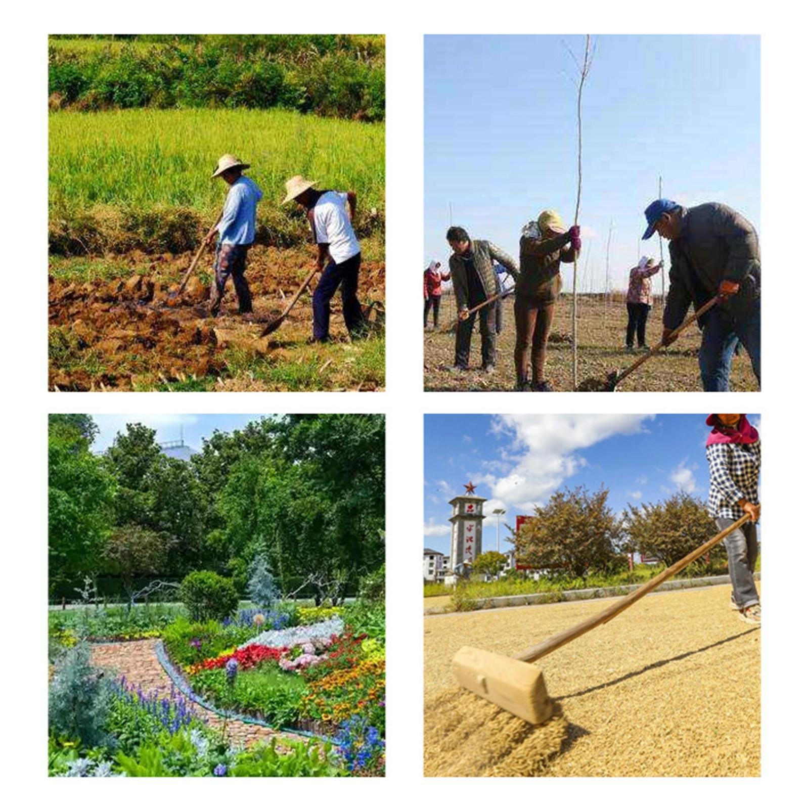 잡초 제거기, 수동 잡초 제거 레이크, 뿌리와 흙, 잔 - Gardening Tools To Remove Grass 리뷰 및 가격