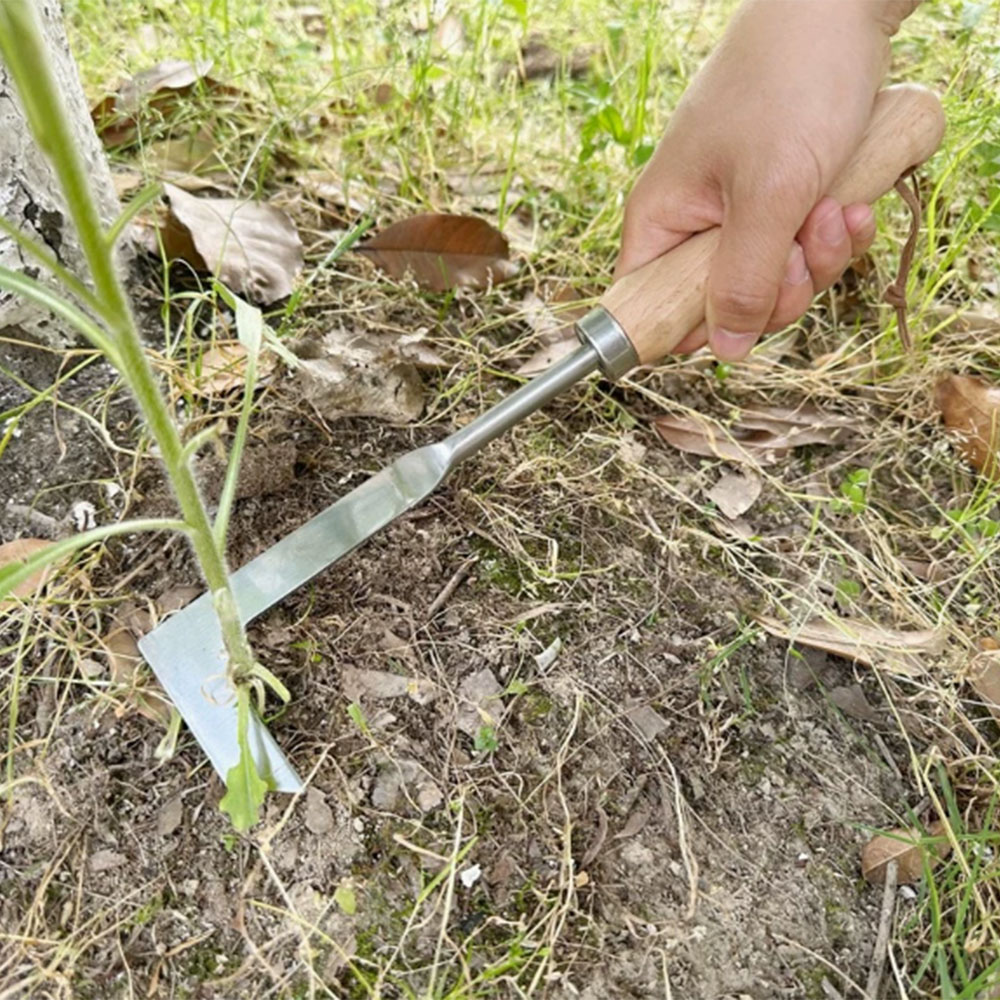 스테인리스 스틸 틈새 제초 도구, 다기능 정원용 수공구 - Gardening Tools Used For Weeding 리뷰 및 가격