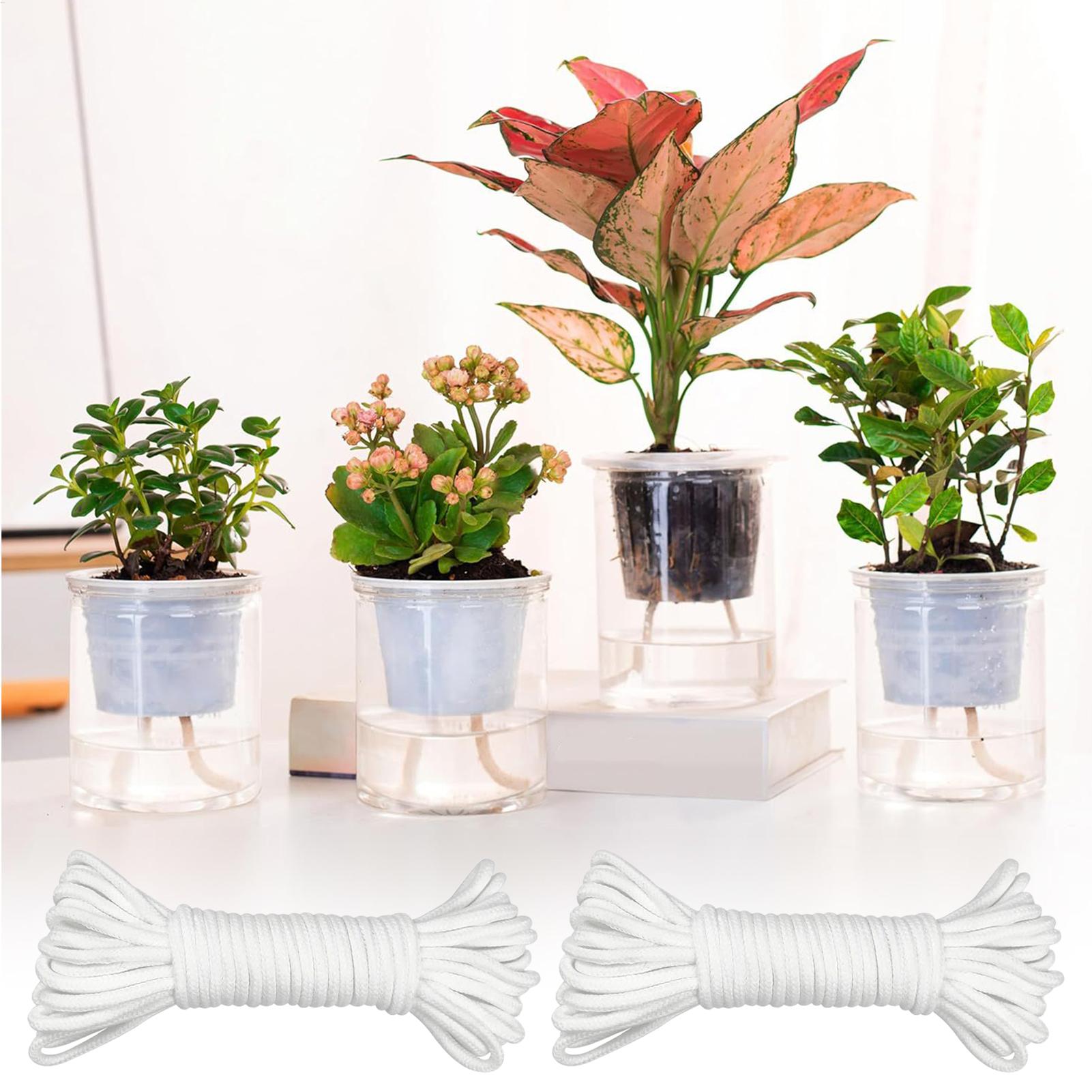 자가 급수용 식물 심지 2피스 자동 급수 로프 화분 모 - Self-Watering Planter 리뷰 및 가격