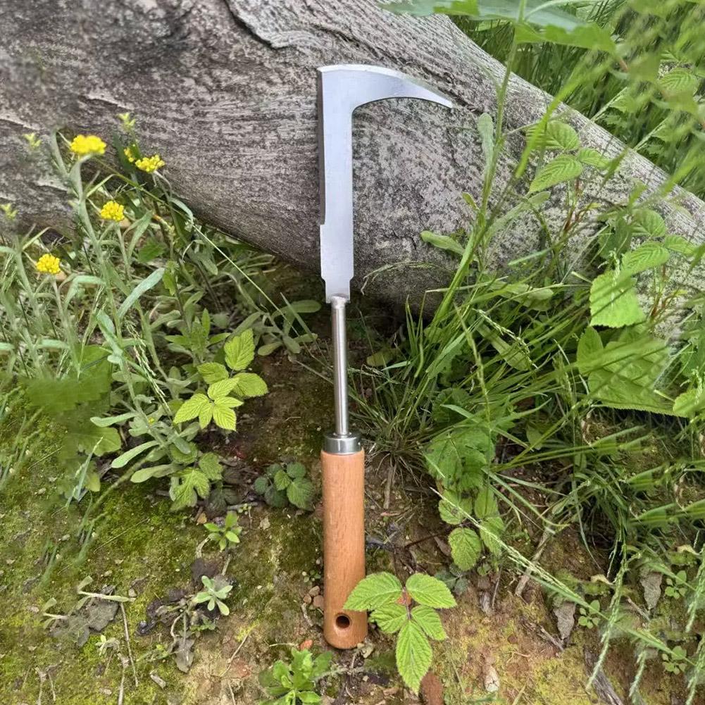스테인리스 스틸 틈새 제초 도구, L자형 다용도 정원용 - Gardening Tools Used For Weeding 리뷰 및 가격