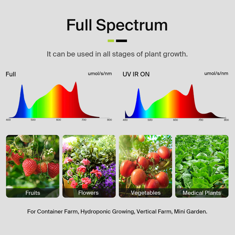 최대 3.75파운드 수확량을 제공하는 미국산 Flexs - Led Grow Light 리뷰 및 가격