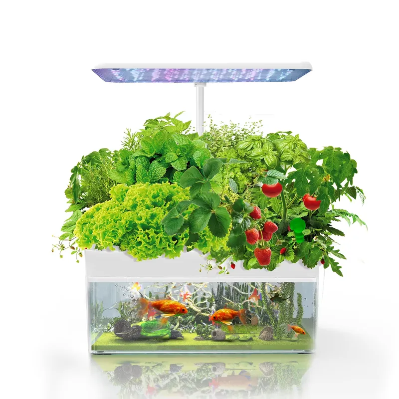IGS-70 실내 수경재배 아쿠아포닉 LED 식물등 및 - Led Grow Light 리뷰 및 가격