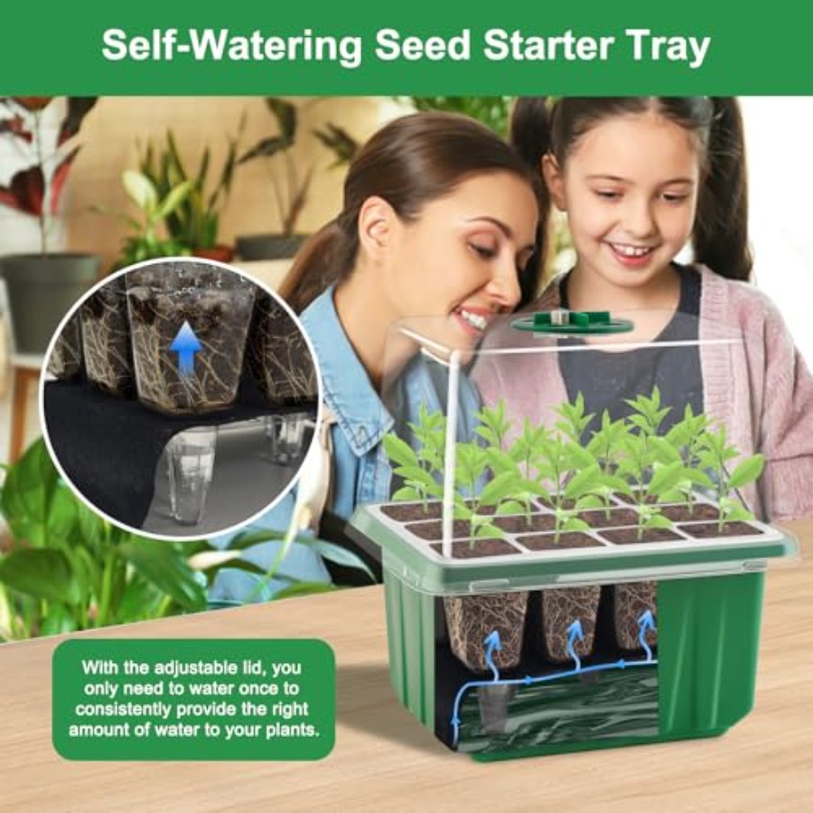 조명이 있는 묘목 트레이 6팩, 식물 재배 트레이, 습 - Seed Starter Trays 리뷰 및 가격