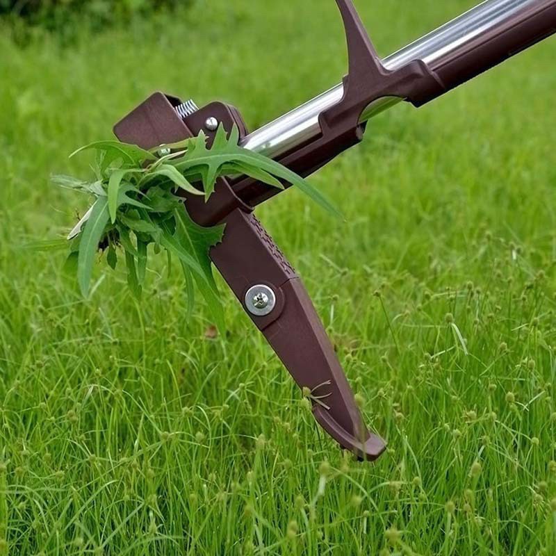 4개의 발톱과 발판이 있는 스탠드업 제초기, 정원용 수 - Gardening Tools To Remove Grass 리뷰 및 가격