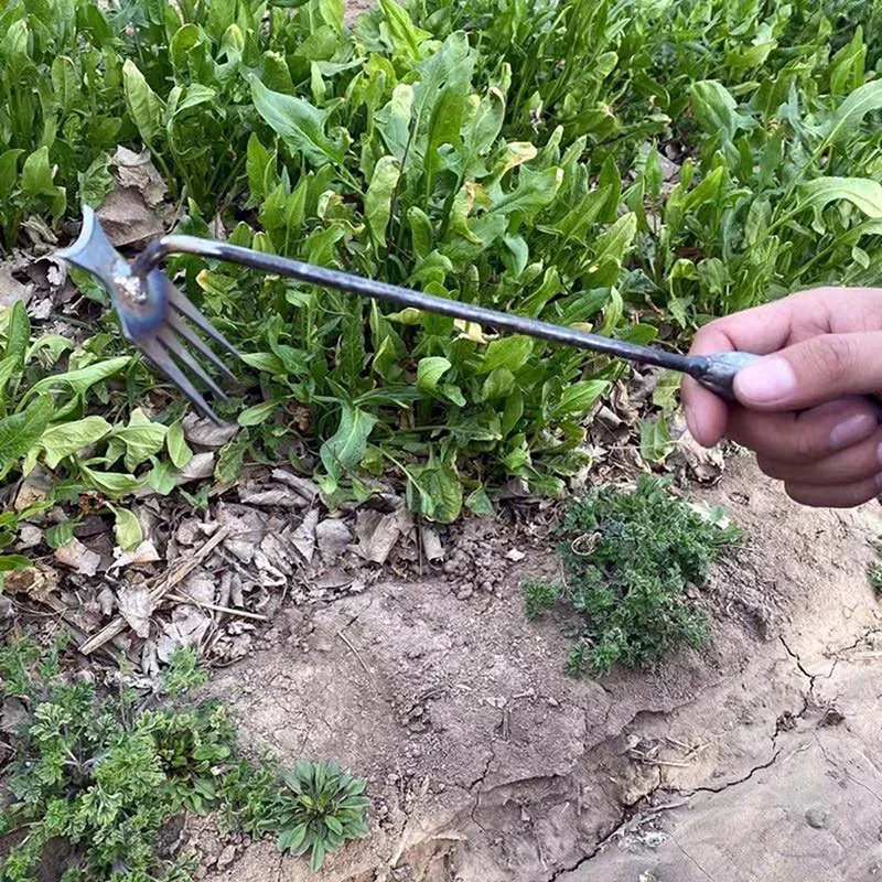 정원 제초기, 망간강 정원 제초기, 뿌리 빼기 및 흙  - Gardening Tools To Remove Grass 리뷰 및 가격