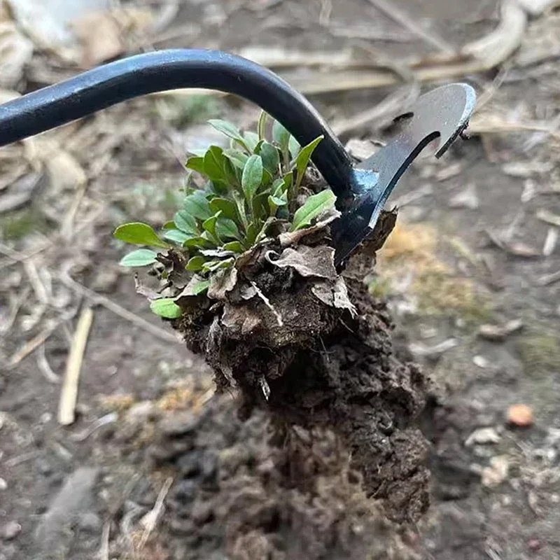 정원 제초기, 망간강 정원 제초기, 뿌리 빼기 및 흙  - Gardening Tools To Remove Grass 리뷰 및 가격