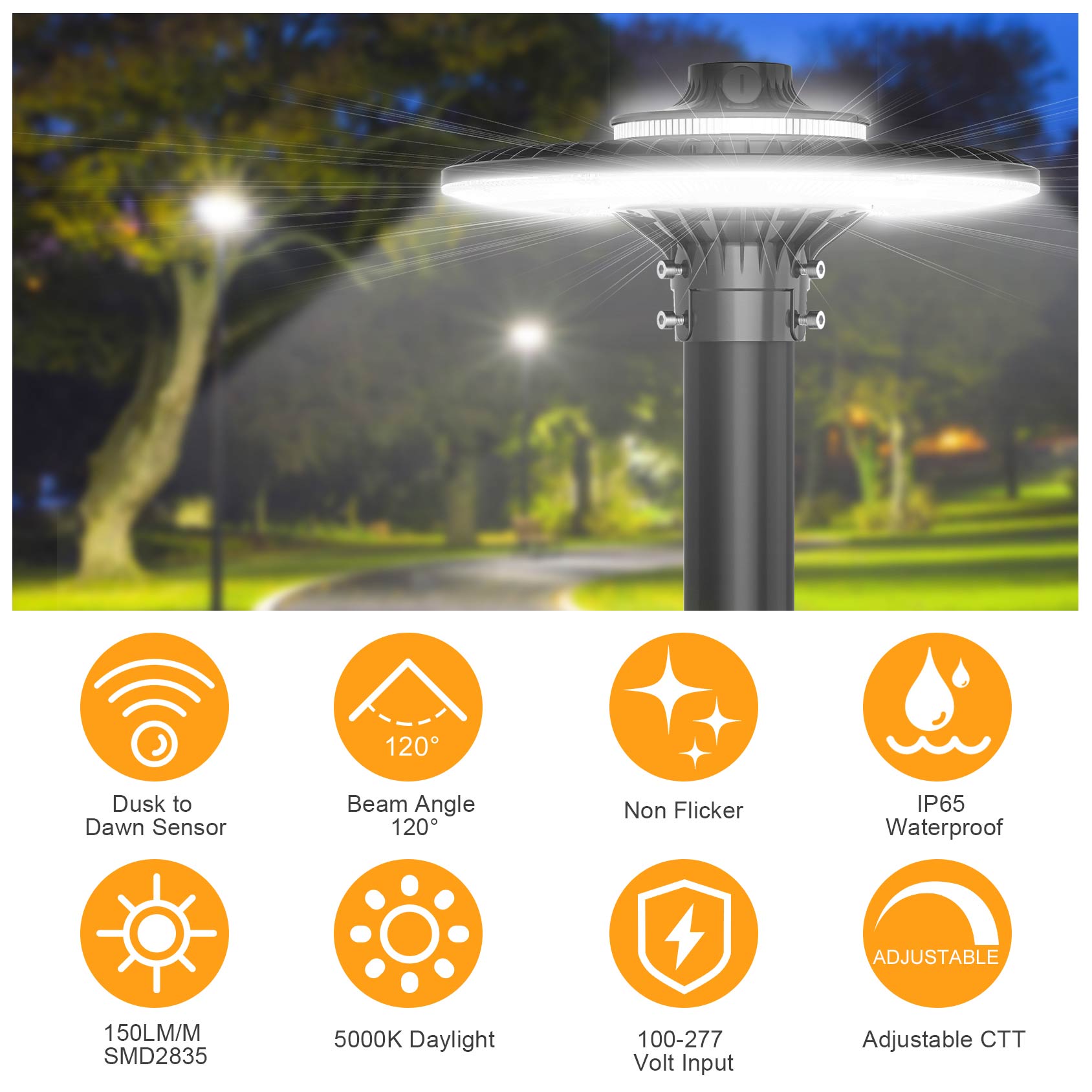 LED 포스트 탑 조명기구 ETL CE UL 인증 10 - Gardening Tools List 리뷰 및 가격