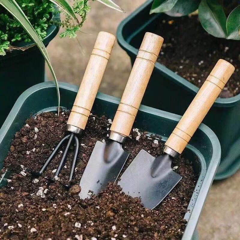 3PC/1세트 미니 원예 도구 세트 휴대용 소형 원예  - Gardening Tools Gifts 리뷰 및 가격