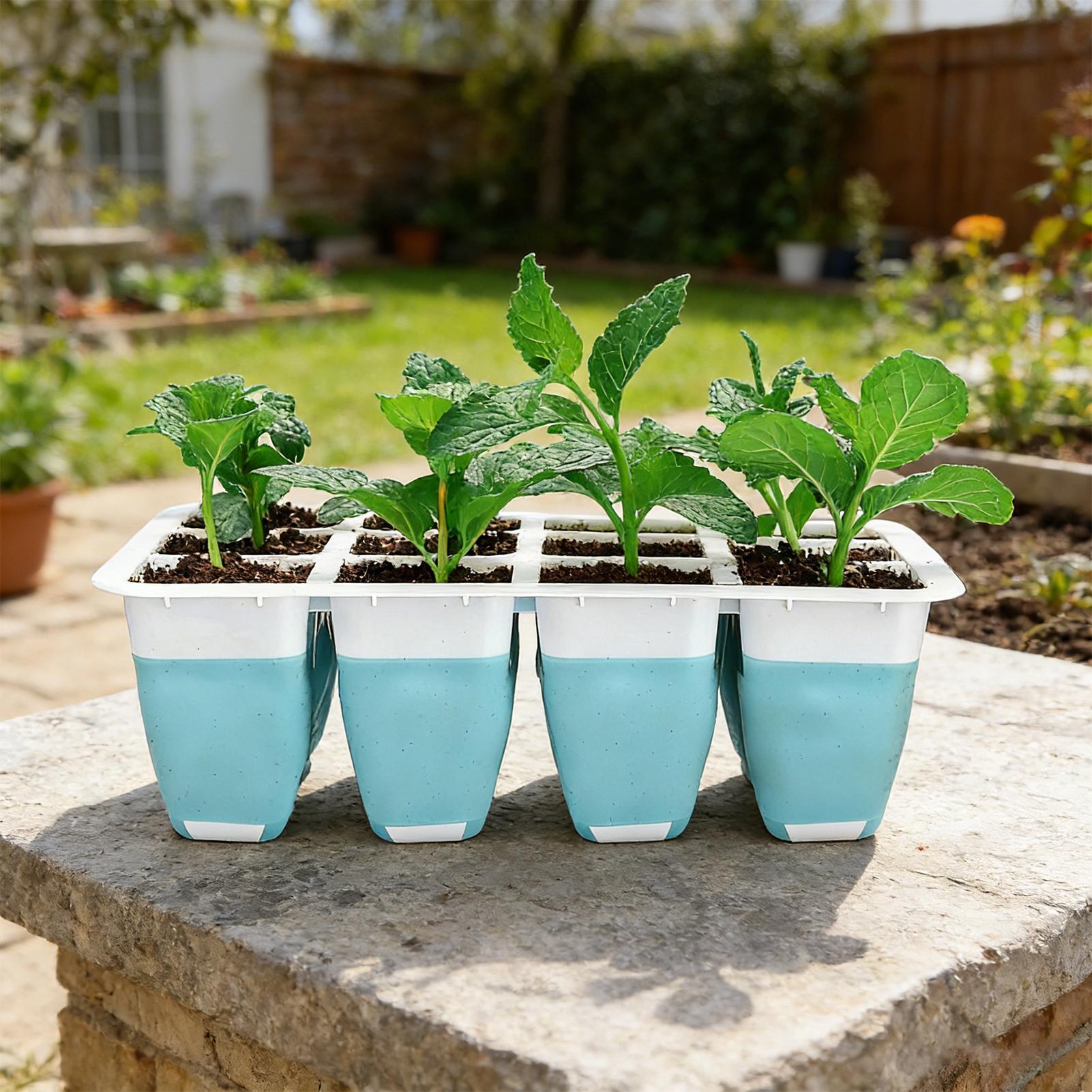 5팩 실리콘 묘목 트레이 60구 재사용 가능 묘목 발아 - Seed Starter Trays 리뷰 및 가격