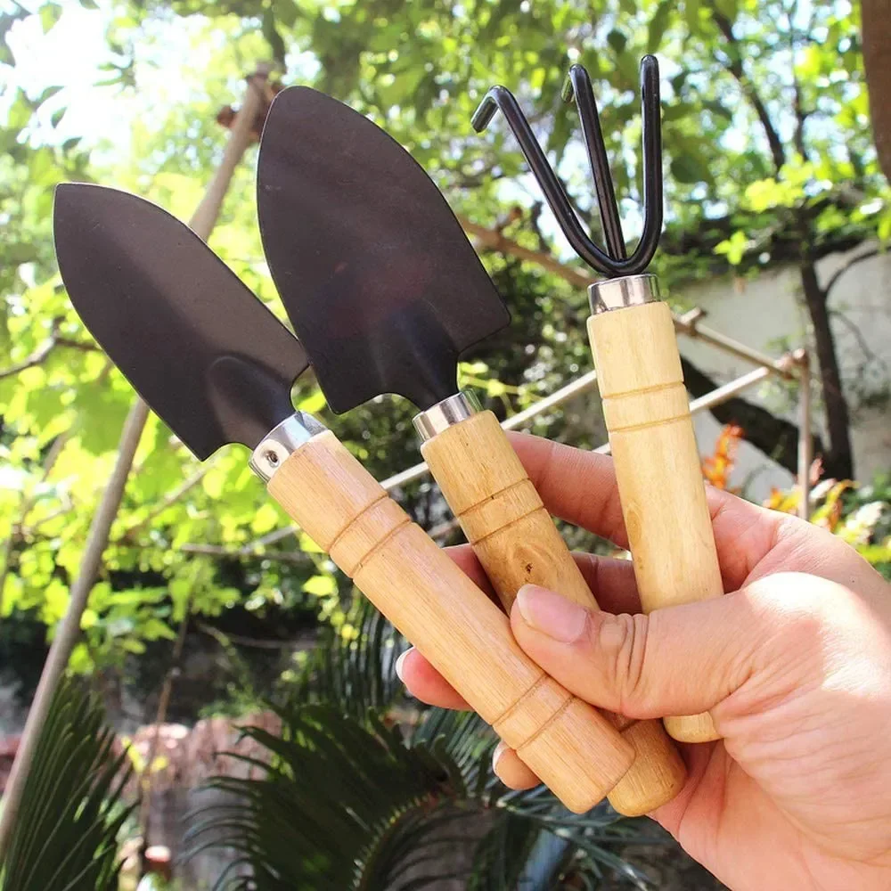 3개/세트 미니 정원 도구 세트 소형 실내 식물 관리용 - Gardening Tools Gifts 리뷰 및 가격