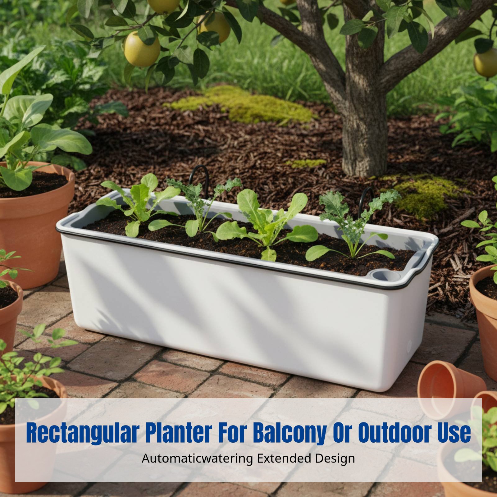 발코니 걸이형 화분 직사각형 자가급수 화분, 야외 벽걸 - Self-Watering Planter 리뷰 및 가격