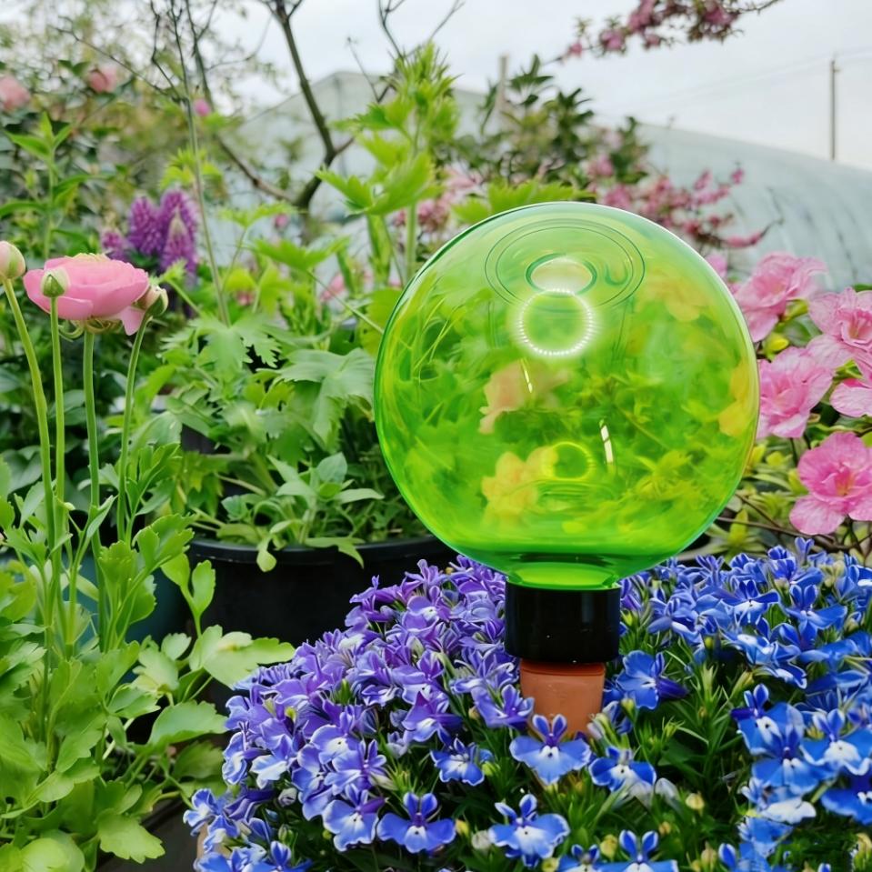 3개 대형 식물 자동 급수 글로브 플라스틱 물병 자동  - Self-Watering Planter 리뷰 및 가격