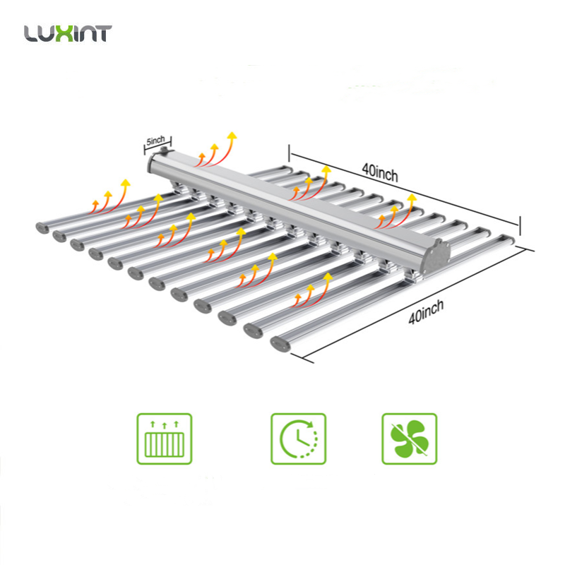 LUX 중국 공장 LED 식물 조명 12바 660w 1 - Led Grow Light 리뷰 및 가격