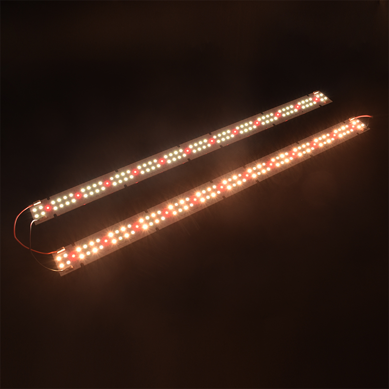 고품질 IP55 등급 COB LED 식물재배등, 풀 스 - Led Grow Light 리뷰 및 가격