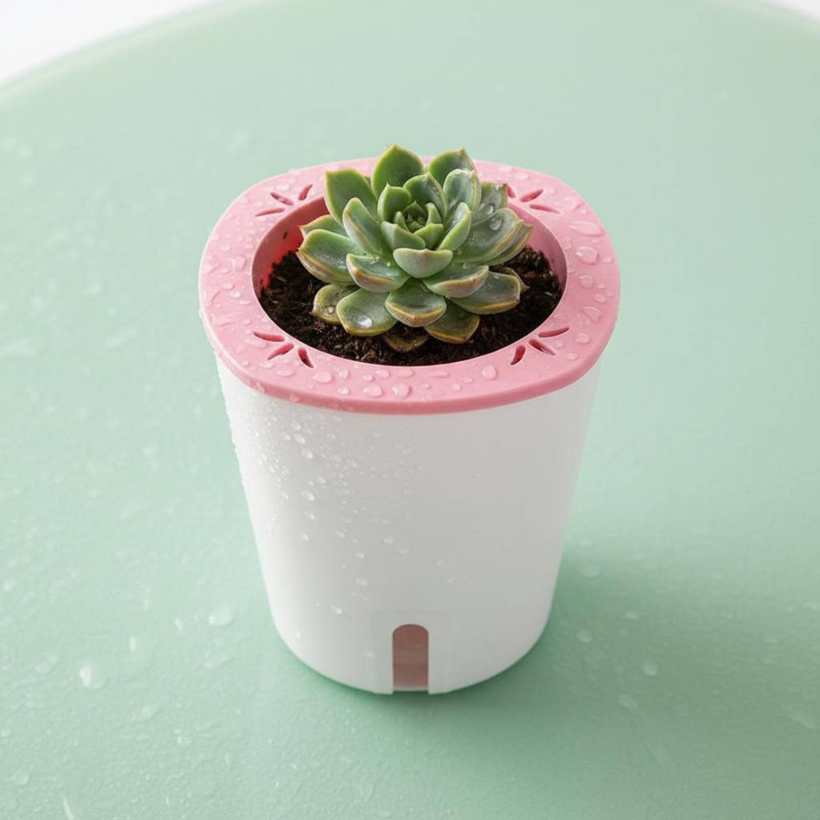 자동 급수 화분 대형 자동 급수 냄비 물 저장소 화분  - Self-Watering Planter 리뷰 및 가격