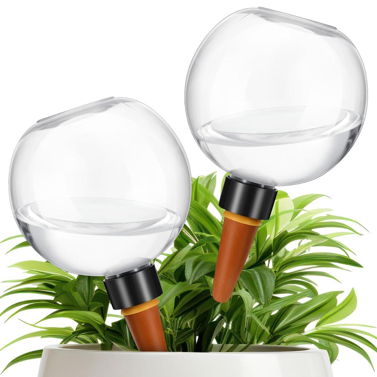 500ml 자동 식물 급수 구슬 유리 글로브 플랜터 삽 - Self-Watering Planter 리뷰 및 가격