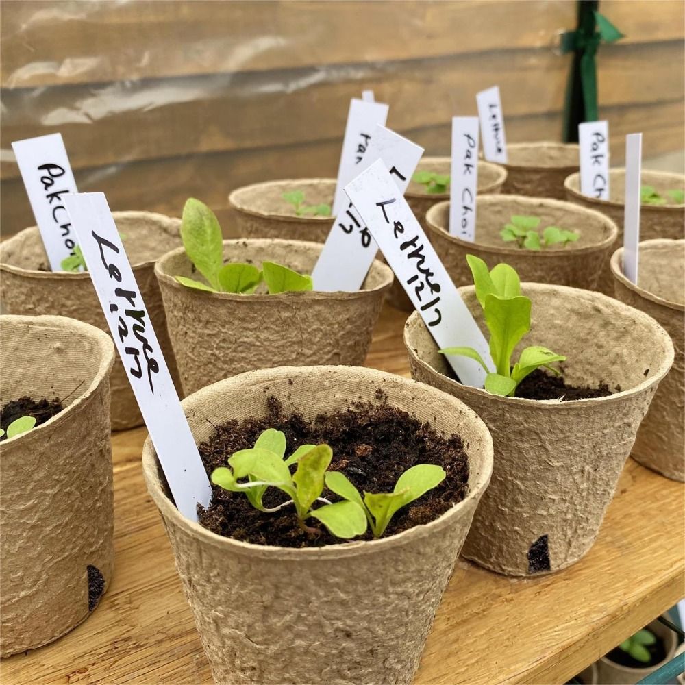 50개 생분해성 식물 스타터 화분(50개 식물 라벨 포 - Seed Starter Trays 리뷰 및 가격