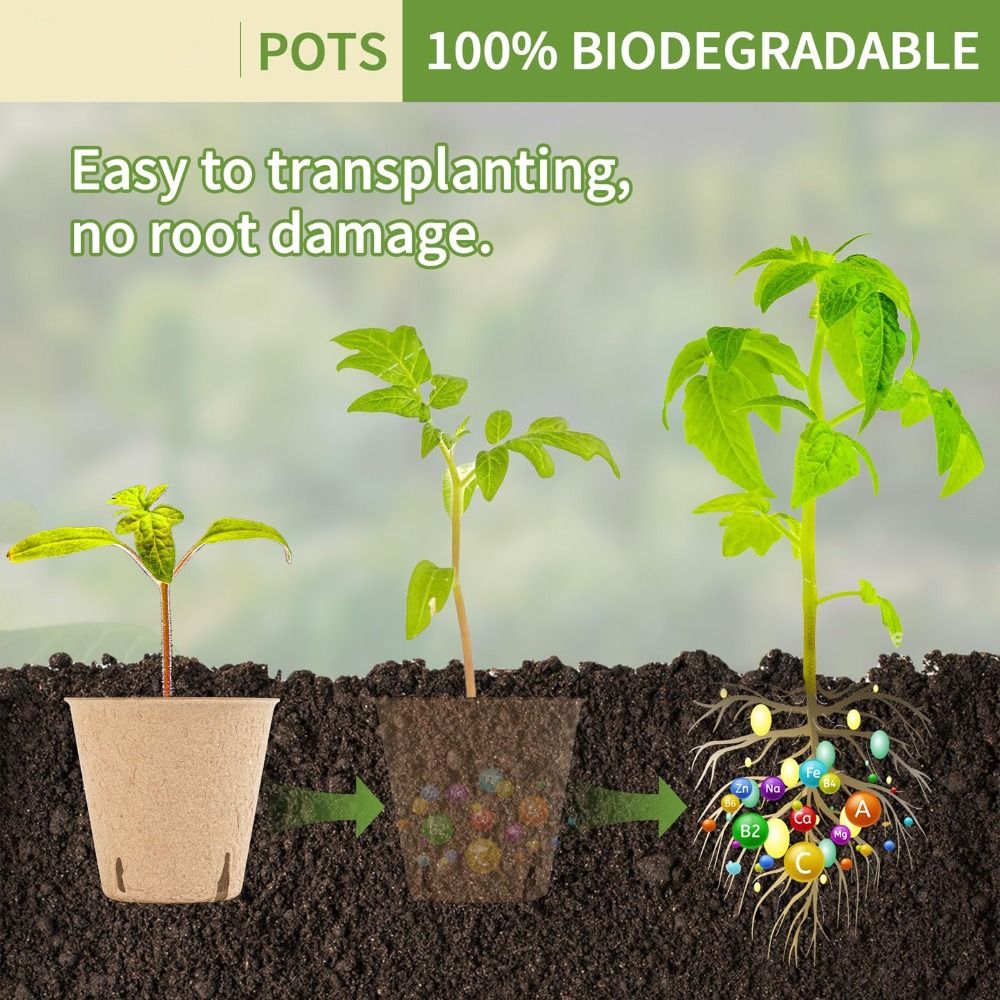 50개 생분해성 식물 스타터 화분(50개 식물 라벨 포 - Seed Starter Trays 리뷰 및 가격