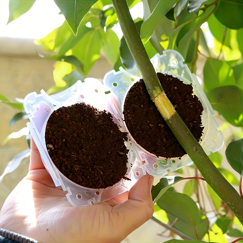 10개입 고압 식물 뿌리화 번식 상자 키트, 정원용 압 - Gardening Tools Box 리뷰 및 가격